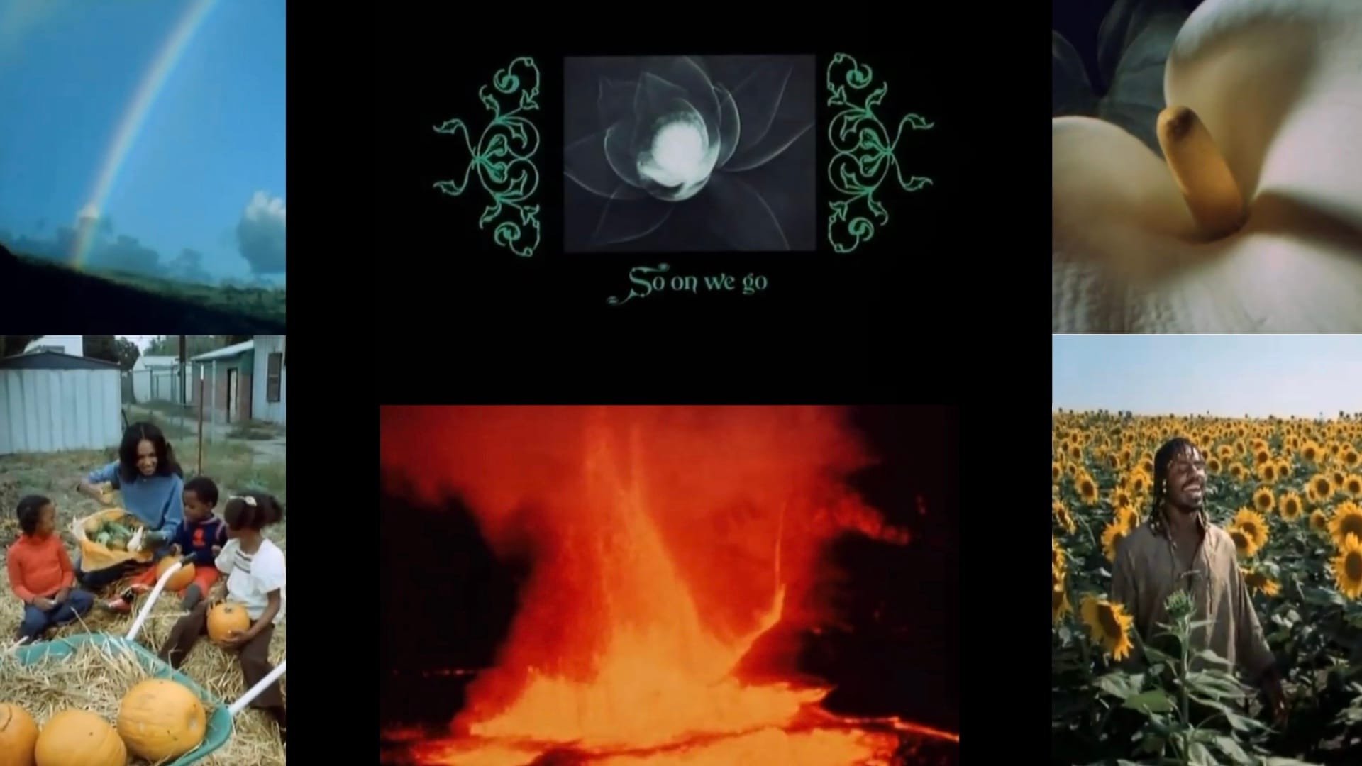 Collage of stills from, The Secret Life of Plants (1978)